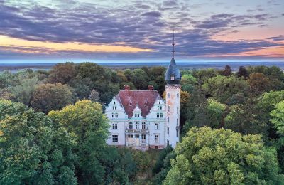Castle for sale Kruszewo, Parkowa 4, Greater Poland Voivodeship:  Exterior View