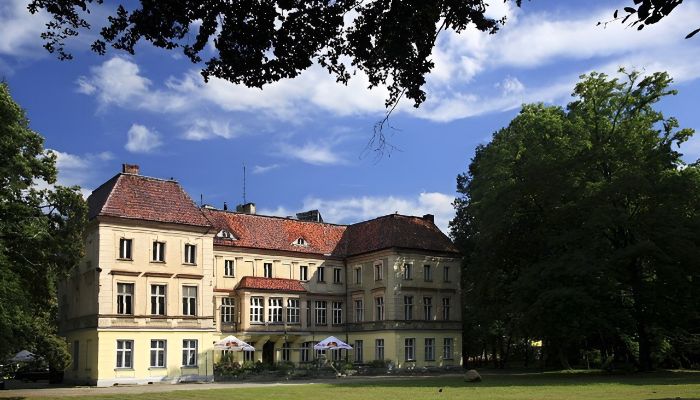 Castle Wojnowice 1