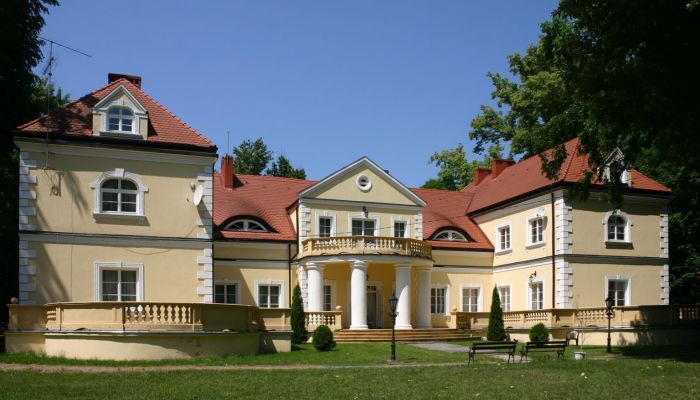 Castle Radoszewnica 4