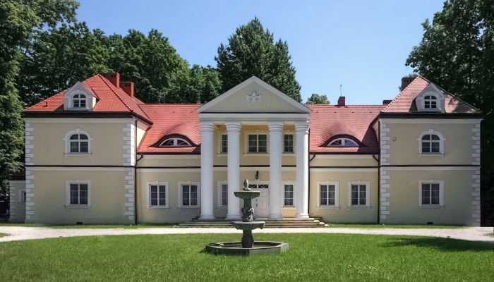 Castle Radoszewnica, Silesia