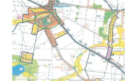 Castle for sale Gwoździany, Spółdzielcza 4a, Silesia, Site Plan