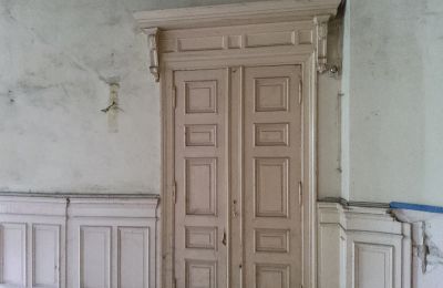 Castle for sale Głuchowo, Palac 1, Greater Poland, Paneling