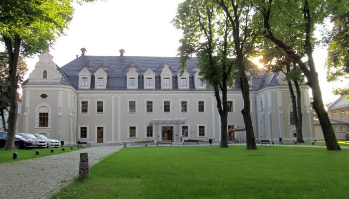 Castle Lubliniec 1