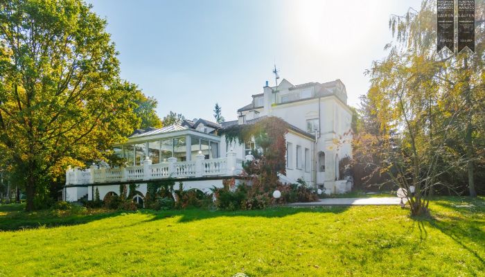 Manor House Żychlin 5