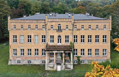 Castle for sale powiat gorzowski, gmina Witnica, Dąbroszyn, Pałac w Dąbroszynie, Lubusz, © Stowarzyszenie Templum