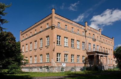Castle for sale powiat gorzowski, gmina Witnica, Dąbroszyn, Pałac w Dąbroszynie, Lubusz, Side view