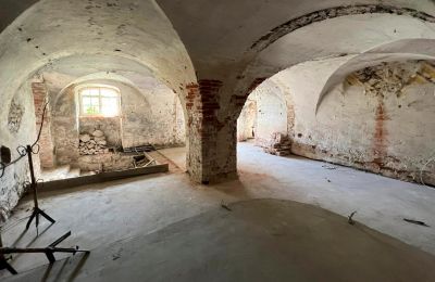 Castle for sale powiat gorzowski, gmina Witnica, Dąbroszyn, Pałac w Dąbroszynie, Lubusz, Basement