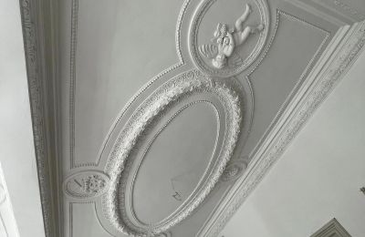 Castle for sale powiat gorzowski, gmina Witnica, Dąbroszyn, Pałac w Dąbroszynie, Lubusz, Ceiling