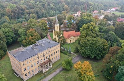 Castle for sale powiat gorzowski, gmina Witnica, Dąbroszyn, Pałac w Dąbroszynie, Lubusz, © Stowarzyszenie Templum