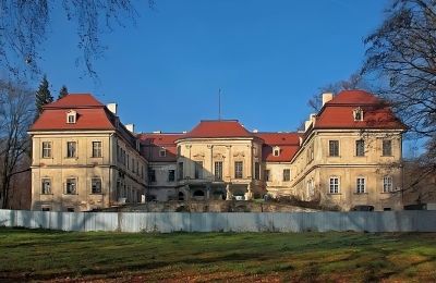 Castle for sale Grodziec, Lower Silesian Voivodeship:  Back view