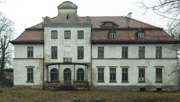 Castle for sale Kujawy, Opole Voivodeship,  Poland
