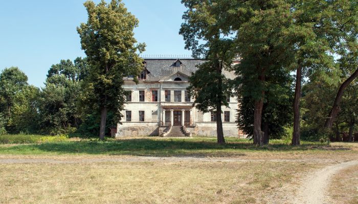 Castle Budziwojów 2