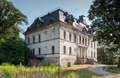 Castle for sale Budziwojów, Pałac w Budziwojowie, Lower Silesian Voivodeship:  