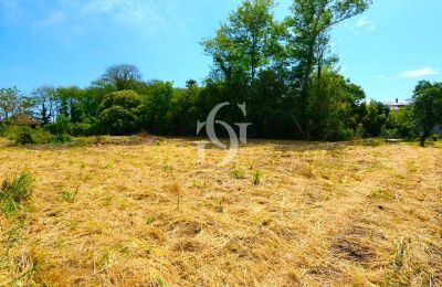 Historic Villa for sale A Guarda, Rúa Galicia 95, Galicia, Image 32/38