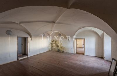 Castle for sale Žitenice, Zámek Žitenice, okres Litoměřice, Interior 1