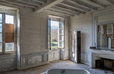 Castle for sale Saintes, New Aquitaine:  Interior 1