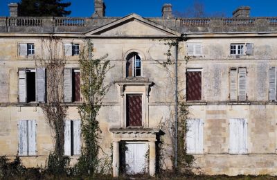 Castle for sale Saintes, New Aquitaine:  