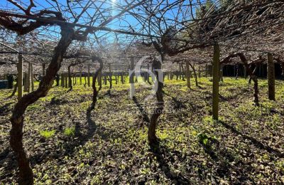 Manor House for sale 36740 Tomiño, Galicia, Image 32/37
