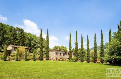 Country House for sale Lucca, Tuscany:  Property
