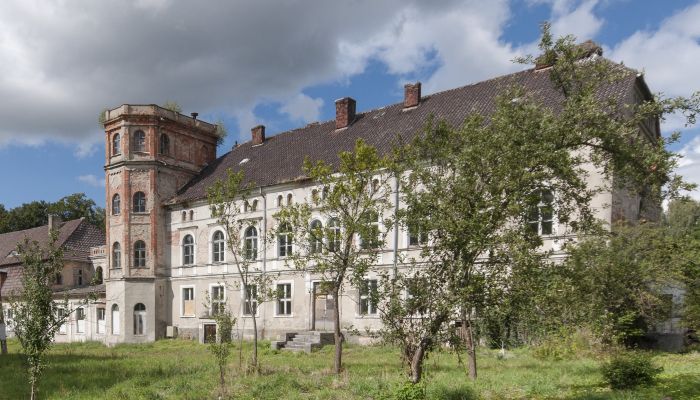 Castle Cecenowo 1