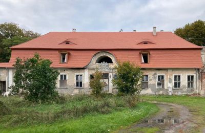 Castle for sale Cecenowo, Pałac w Cecenowie, Pomerania, Manor