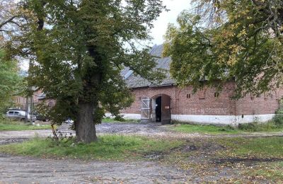 Castle for sale Cecenowo, Pałac w Cecenowie, Pomeranian Voivodeship:  