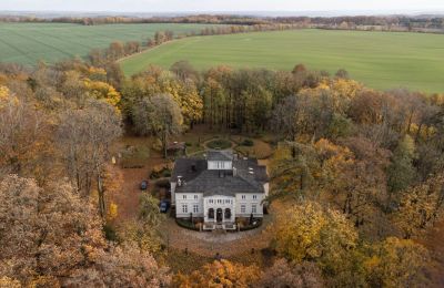 Manor House for sale Lisewo, Dwór w Lisewie, Pomeranian Voivodeship:  Drone