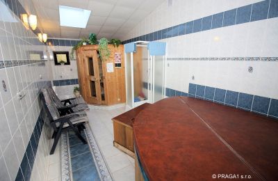 Manor House for sale Levín, Ústecký kraj, Image 12/19