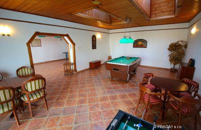 Manor House for sale Levín, Ústecký kraj, Image 15/19