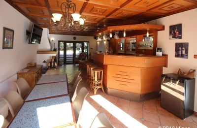 Manor House for sale Levín, Ústecký kraj, Image 6/19