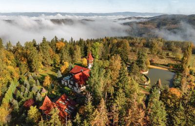 Castle for sale Karlovy Vary, Karlovarský kraj, Image 1/14