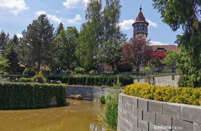 Castle for sale Karlovy Vary, Karlovarský kraj, Image 3/14