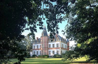 Castle for sale Saint-Bertrand-de-Comminges, Occitania:  Back view