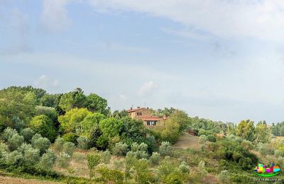 Country home for sale Livorno, Tuscany, Image 15/16