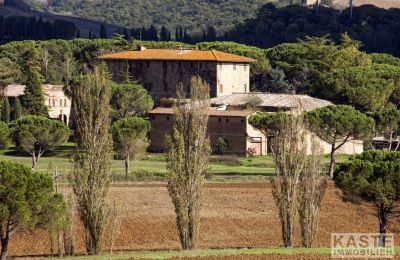 Manor House for sale Buonconvento, Tuscany:  