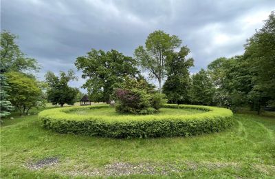 Manor House for sale Paplin, Dwór w Paplinie, Mazovia, Image 14/20