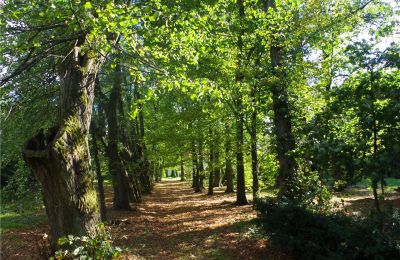 Manor House for sale Paplin, Dwór w Paplinie, Mazovia, Image 16/20