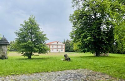 Manor House for sale Paplin, Dwór w Paplinie, Mazovia, Image 11/20