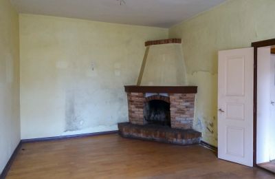 Manor House for sale Leszno, Greater Poland, Fireplace