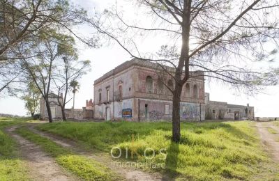 Manor House for sale Manduria, Apulia, Image 37/38