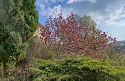 Country property for sale Lubomierz, Lower Silesia, Image 28/29