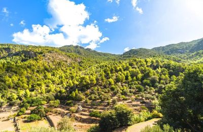 Manor house for sale Estellencs, Balearic Islands, View