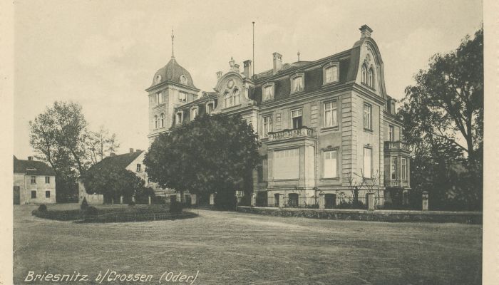 Castle Brzeźnica 2