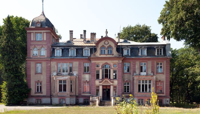 Castle Brzeźnica 1