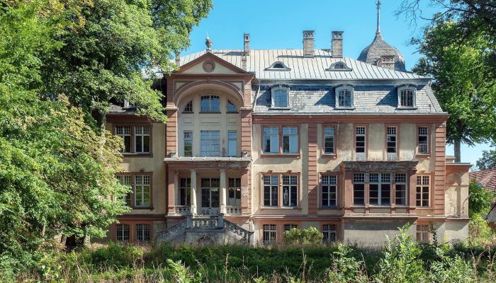 Castle for sale Brzeźnica, Lubusz,  Poland