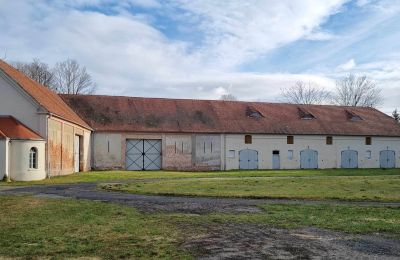 Castle for sale Brzeźnica, Bobrzańska 1, Lubusz Voivodeship:  Stodoły część Wschodnia