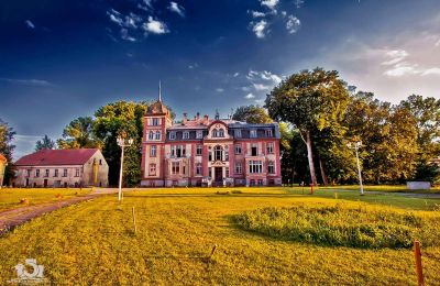 Castle for sale Brzeźnica, Bobrzańska 1, Lubusz Voivodeship:  Stan wspołczesny