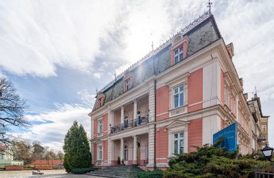 Historic Villa for sale Legnica, Lower Silesia, Image 6/33