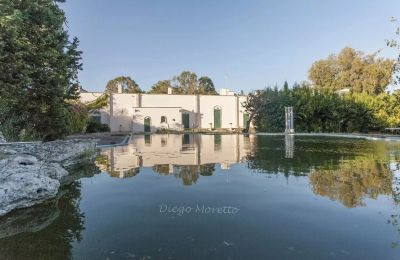 Historic Villa for sale Lecce, Apulia:  Back view