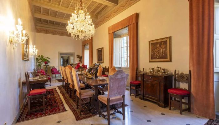 Historic Villa Firenze 4